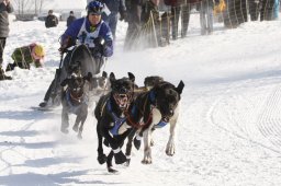 Lenk 2012 SM